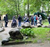 Eine Gruppe Menschen läuft auf einem Weg vorbei an Rasenflächen, Bäumen und Käfigen mit Tieren